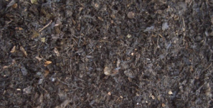 Wellington Compost Supplies