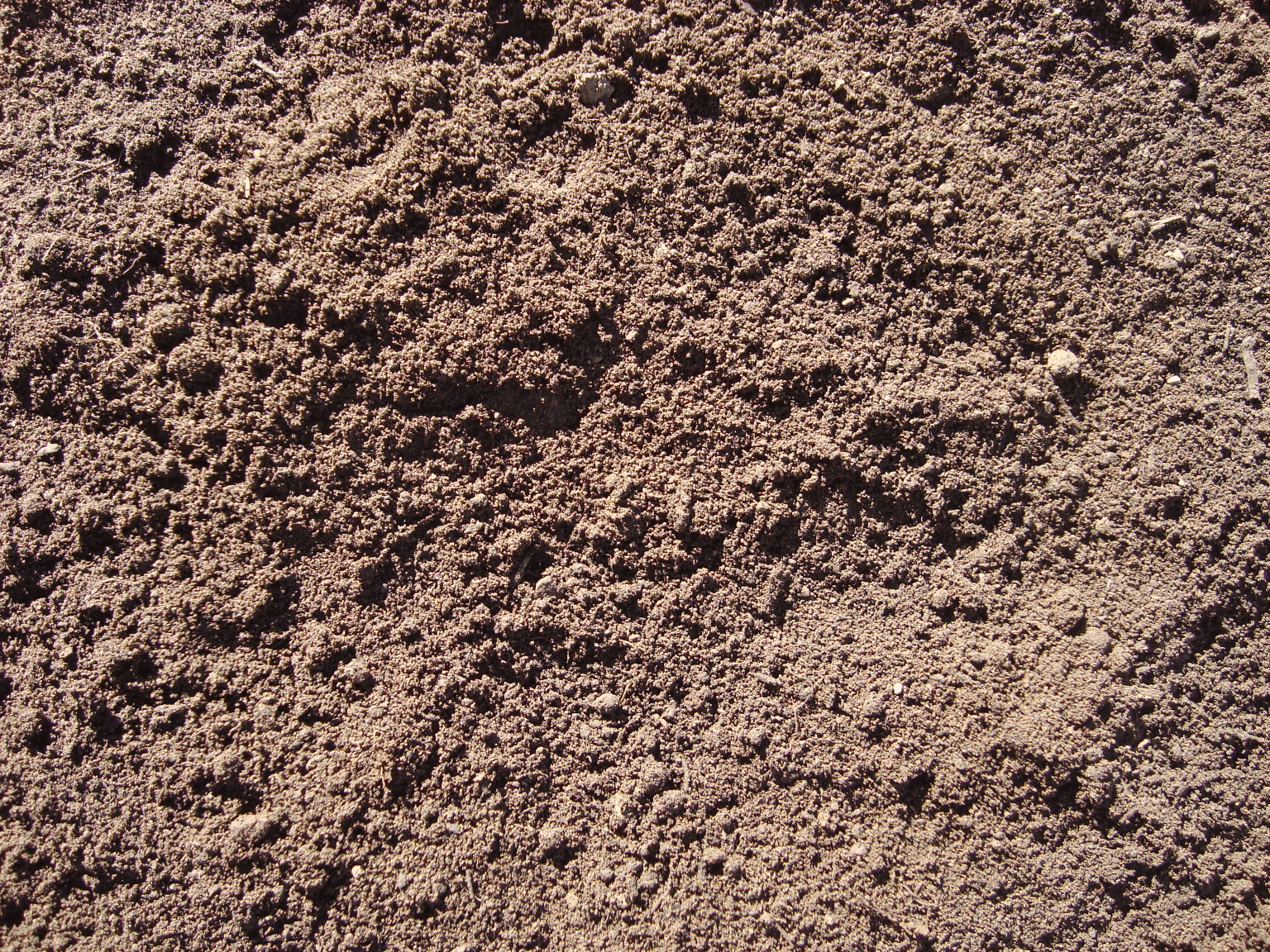 Original Topsoil Original Topsoil